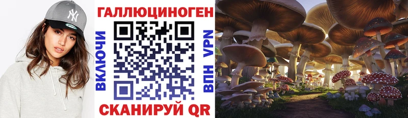 Галлюциногенные грибы MAGIC MUSHROOMS Кимовск