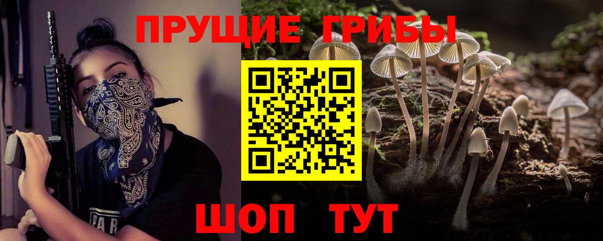 Галлюциногенные грибы Magic Shrooms  Вход с VPN  Кимовск 